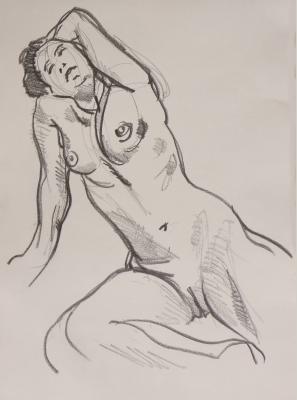 Nu - Crayon graphite 6B sur papier - 41x30cm .JPG