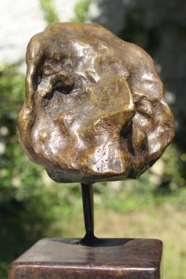 MIMG_3555.JPG