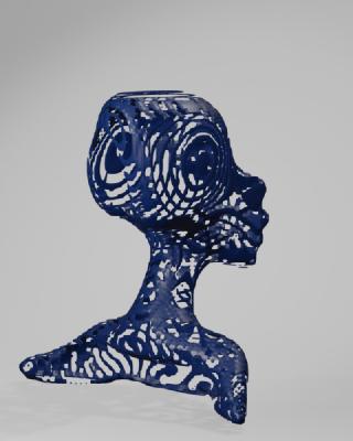 Buste de femme ajouré.jpg