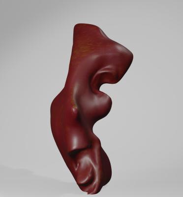 Visage réduit à l'essentiel.jpg